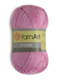 Пряжа YarnArt Begonia 5046